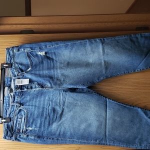 Torrid Denim Jeans